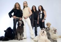 The Poodles - Frontpudel Jakob Samuel im Interview...