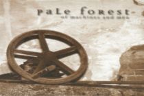 Pale Forest - blasse Träume und neue Wege